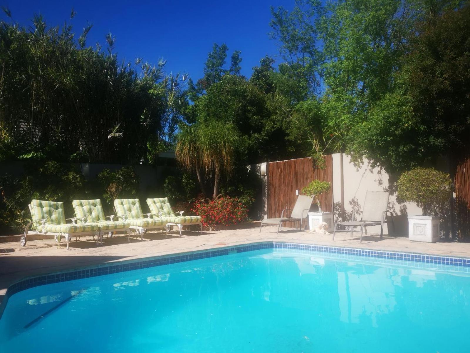 Eikelower Accommodation Stellenbosch Rom bilde